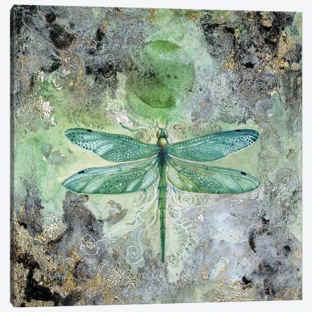 Dragonfly V Canvas Print #SLW48} by Stephanie Law Canvas Art