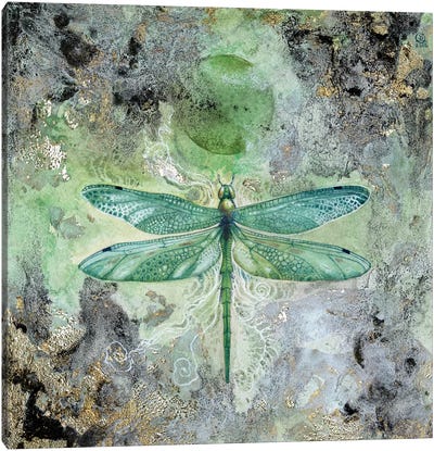 Dragonfly V Canvas Art Print - Insect & Bug Art