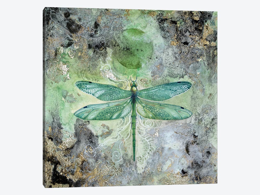 Dragonfly V by Stephanie Law 1-piece Canvas Print