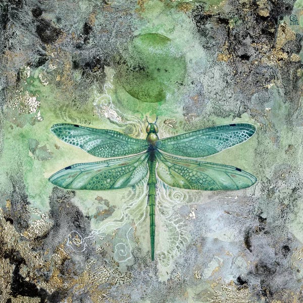 Cabin & Lodge Décor: Dragonfly V by Stephanie Law
