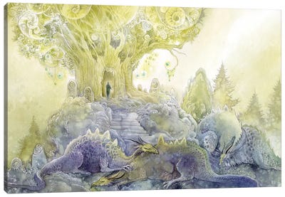 Dragons Dream Canvas Art Print - Stephanie Law
