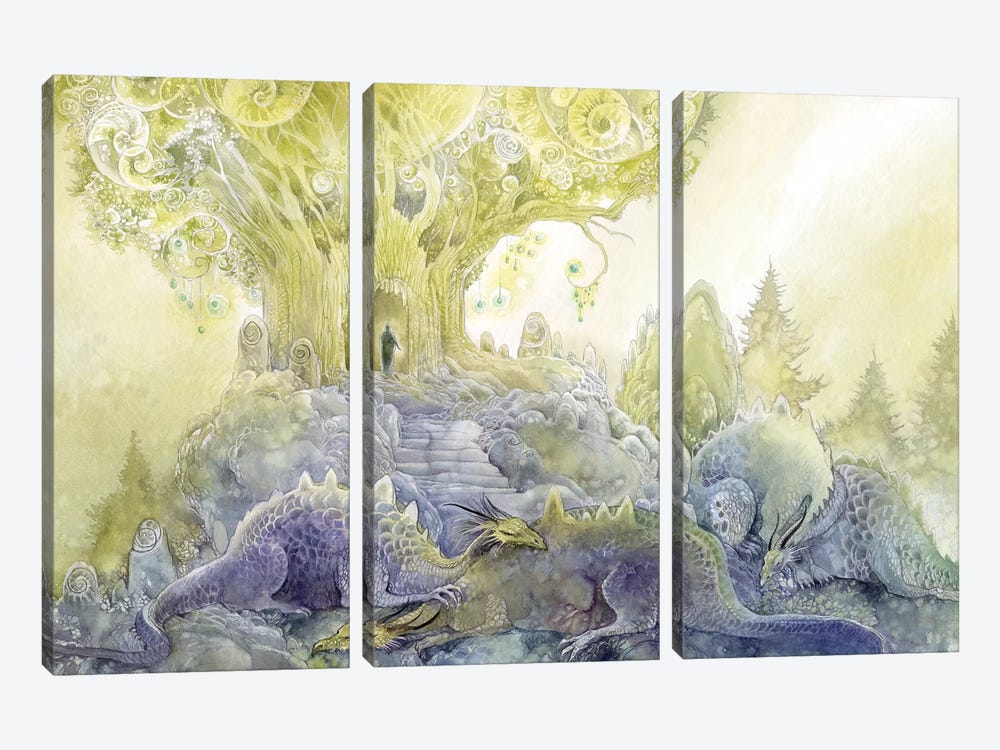 Dragons Dream by Stephanie Law 3-piece Canvas Print