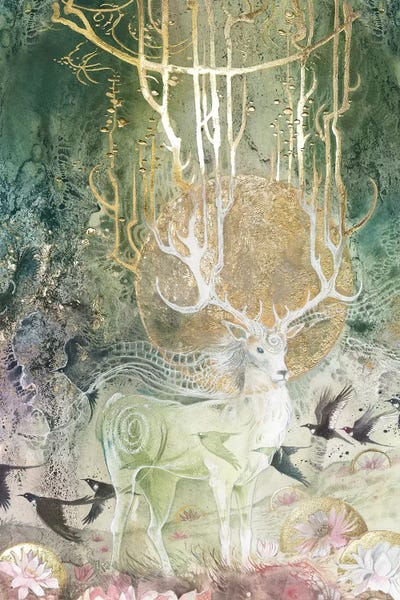 Elk: Elk by Stephanie Law