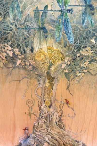Dreamer: Entangle by Stephanie Law