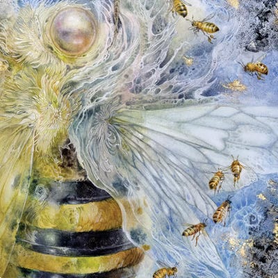 Essence Bee by Stephanie Law art print