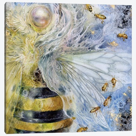 Essence Bee Canvas Print #SLW61} by Stephanie Law Canvas Wall Art