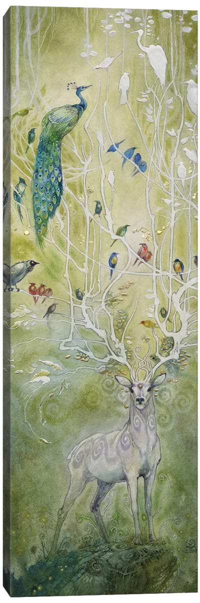 Fermata Canvas Art Print - Deer Art