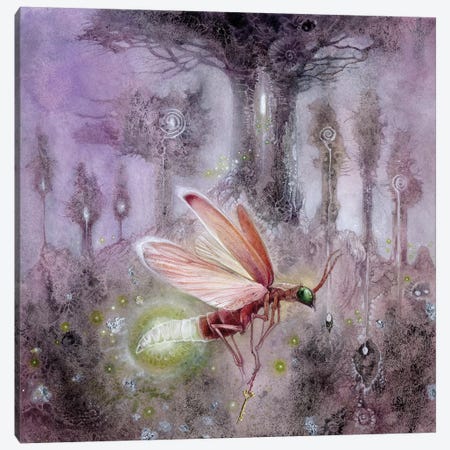 Firefly Canvas Print #SLW65} by Stephanie Law Art Print