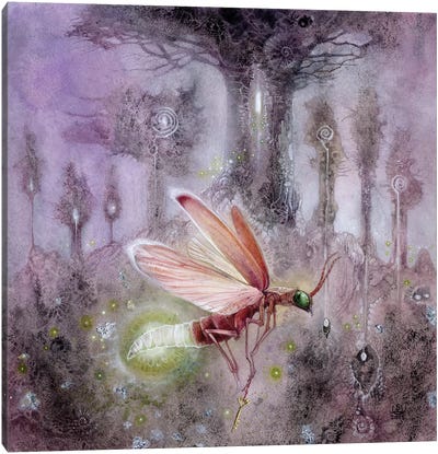 Firefly Canvas Art Print - Firefly Art