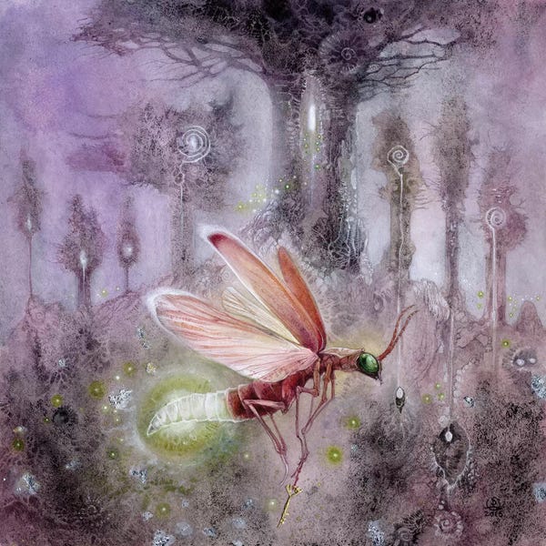 Fireflies: Firefly by Stephanie Law