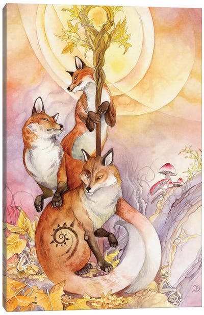 Foxes Canvas Art Print - Stephanie Law