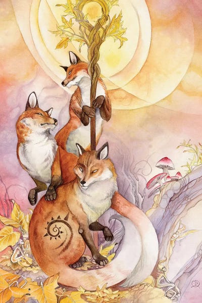 Foxes: Foxes by Stephanie Law