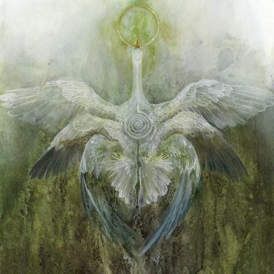 Green Flash by Stephanie Law canvas print