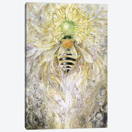Honeybee II Canvas Print #SLW81} by Stephanie Law Canvas Artwork