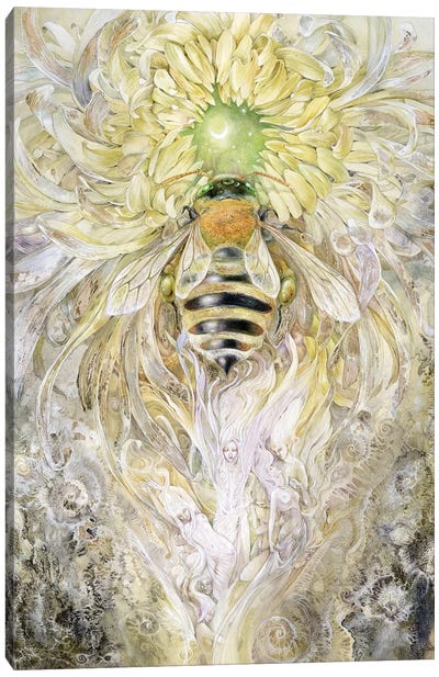 Honeybee II Canvas Art Print - Bee Art