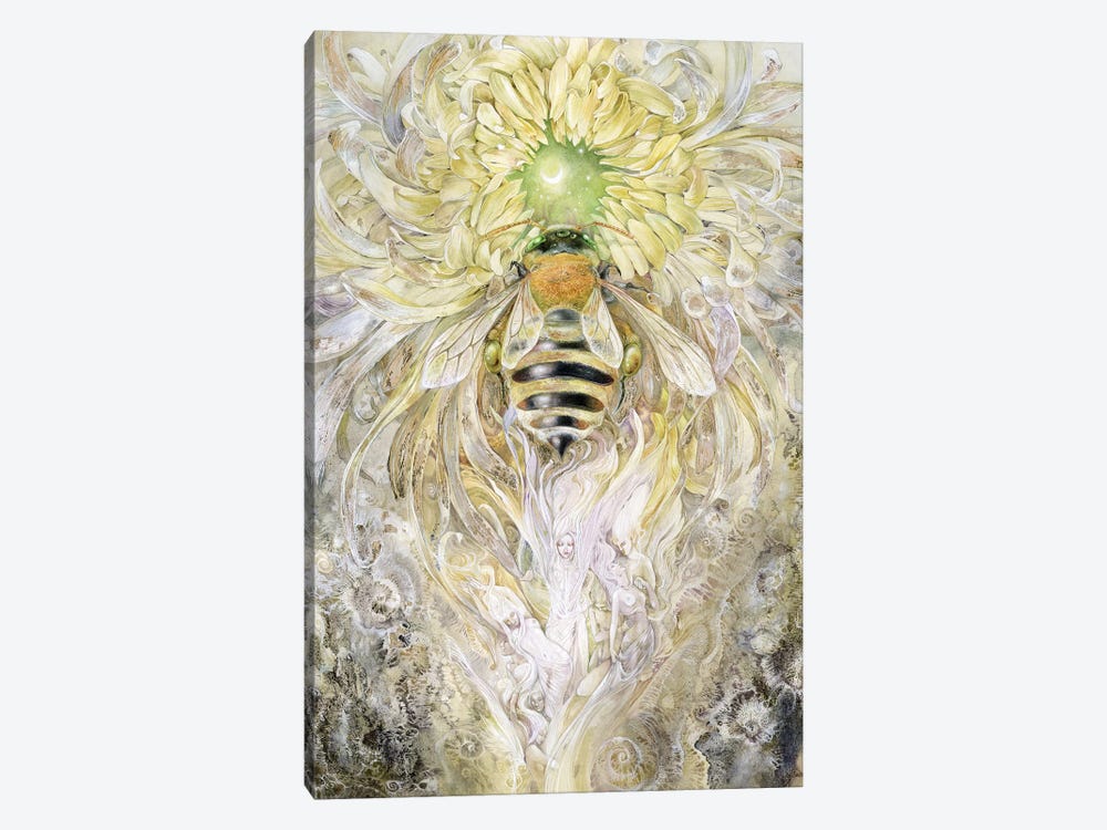 Honeybee II by Stephanie Law 1-piece Canvas Wall Art