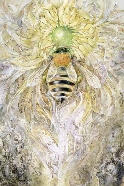 Bees: Honeybee II by Stephanie Law