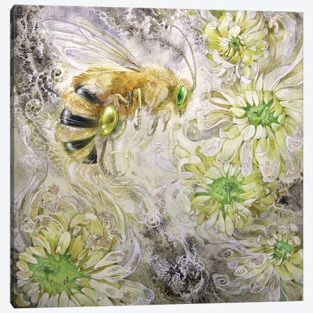Honeybee III Canvas Print #SLW82} by Stephanie Law Canvas Wall Art