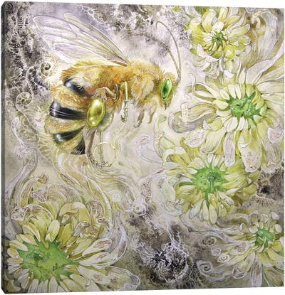 Honeybee III Canvas Art Print - Bee Art