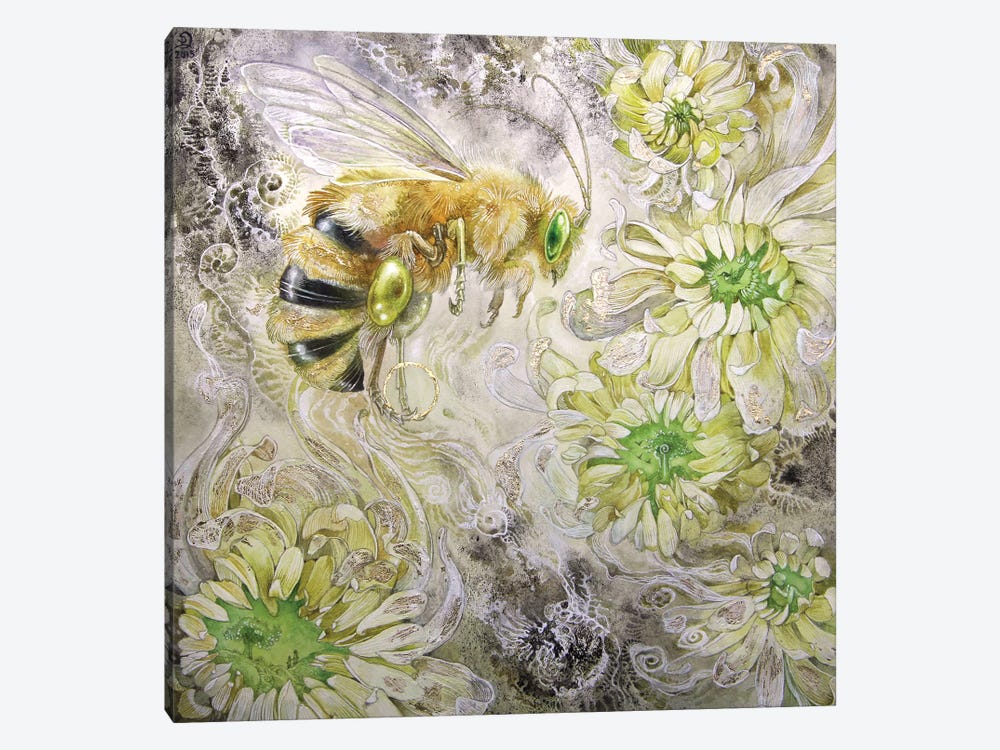 Honeybee III by Stephanie Law 1-piece Canvas Art Print