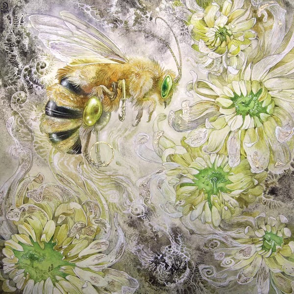 Bees: Honeybee III by Stephanie Law