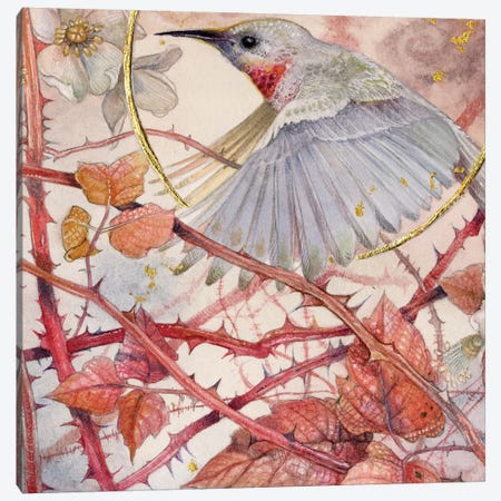 Hummingbird Canvas Print #SLW83} by Stephanie Law Canvas Art