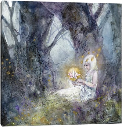 Illuminate Canvas Art Print - The Secret Lives of Fairies