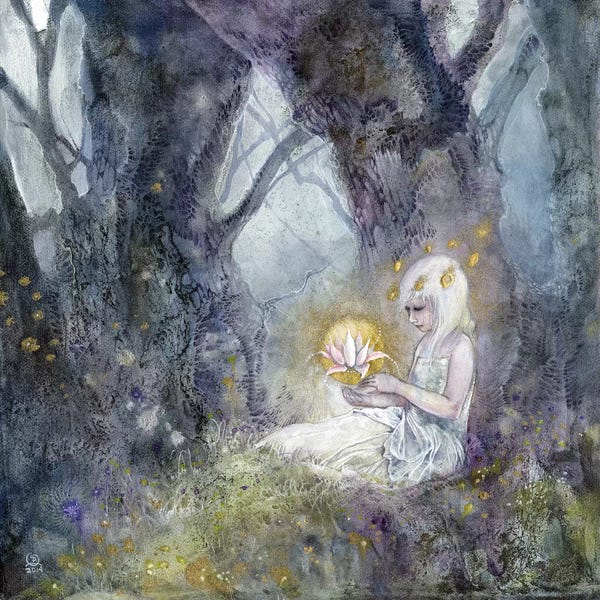 Illuminated Dreamscapes: Illuminate by Stephanie Law