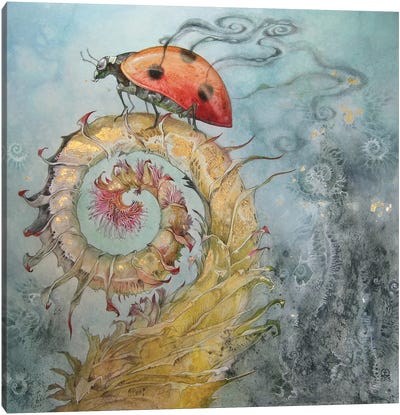 Ladybird Canvas Art Print - Stephanie Law