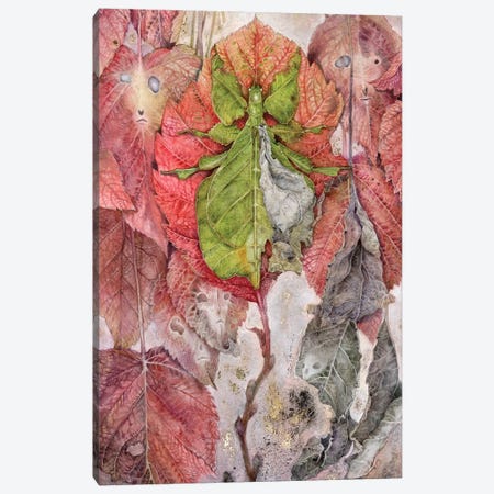 Leaf Canvas Print #SLW98} by Stephanie Law Art Print
