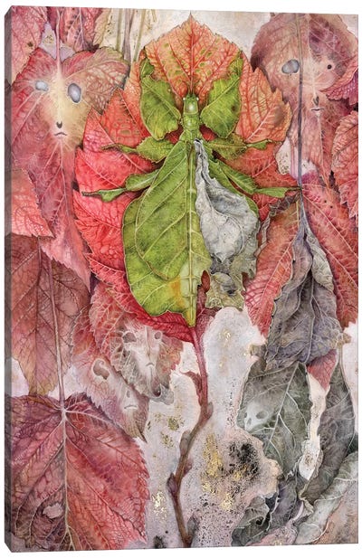 Leaf Canvas Art Print - Stephanie Law