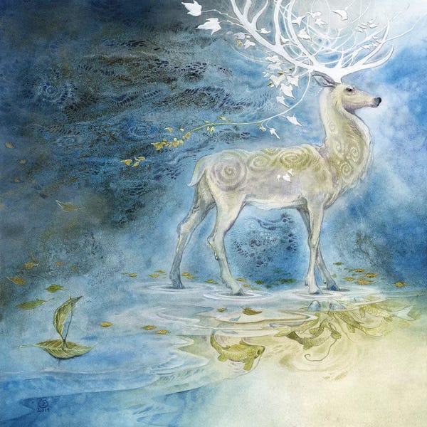 Elk: Legato by Stephanie Law