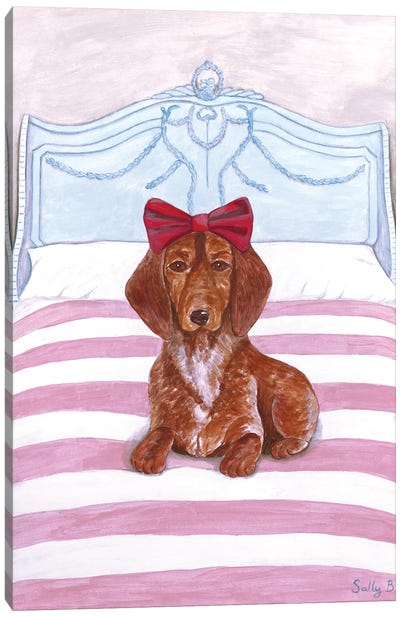 Daschund On Bed Canvas Art Print - Sally B