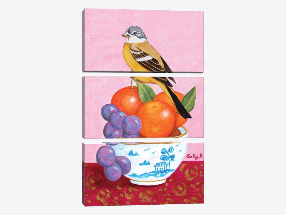 Bird Grape And Mandarin Orange by Sally B 3-piece Canvas Wall Art