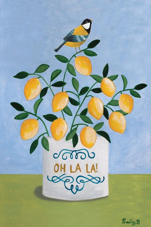 Bird And Lemons by Sally B wall art