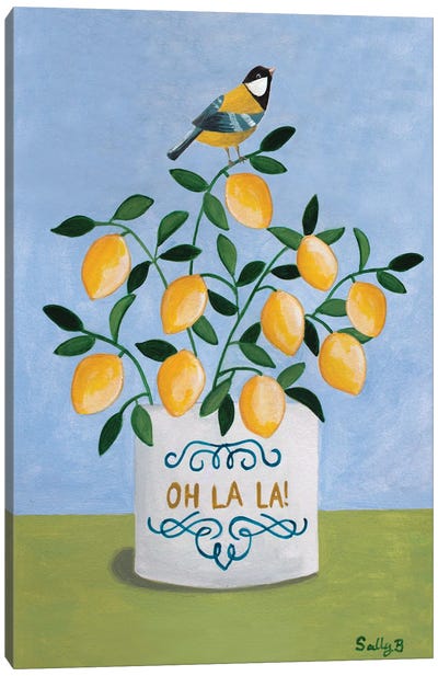 Bird And Lemons Canvas Art Print - Sally B