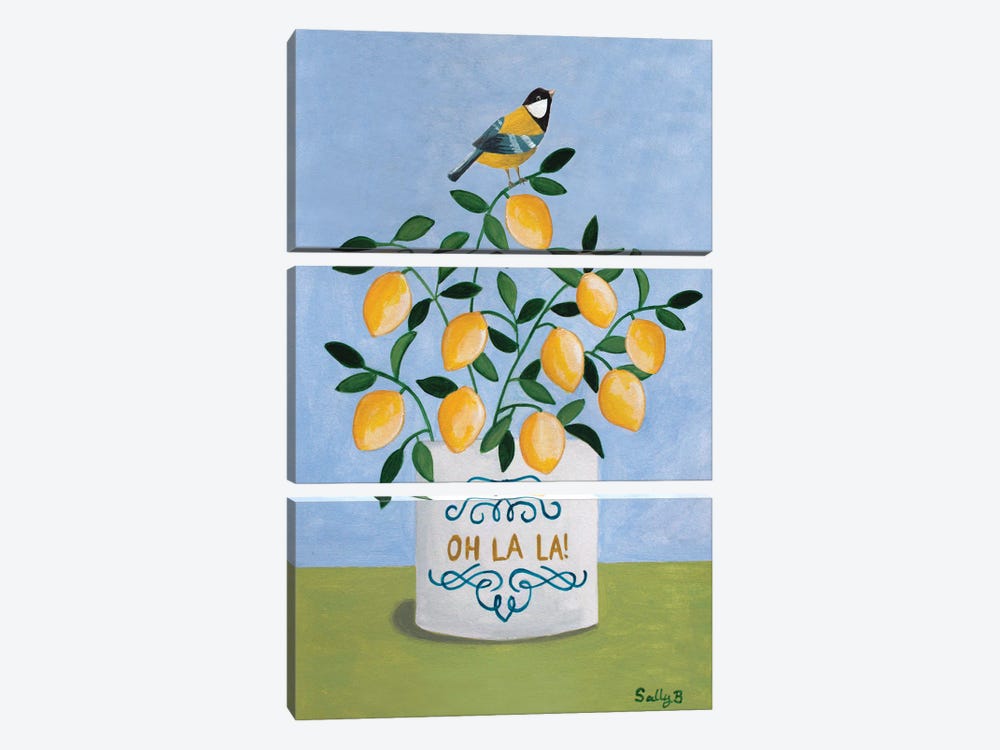 Bird And Lemons by Sally B 3-piece Canvas Artwork