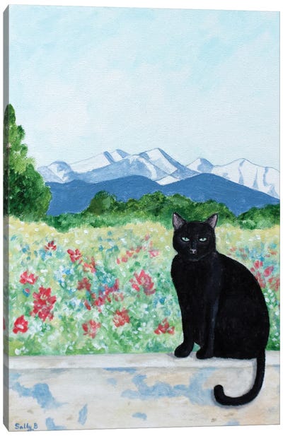 Cat And Mountain Canvas Art Print - Sally B