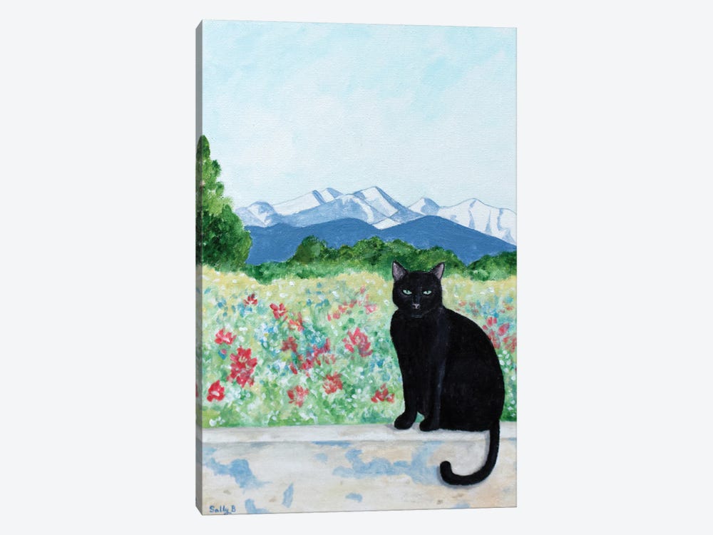 Cat And Mountain by Sally B 1-piece Canvas Print