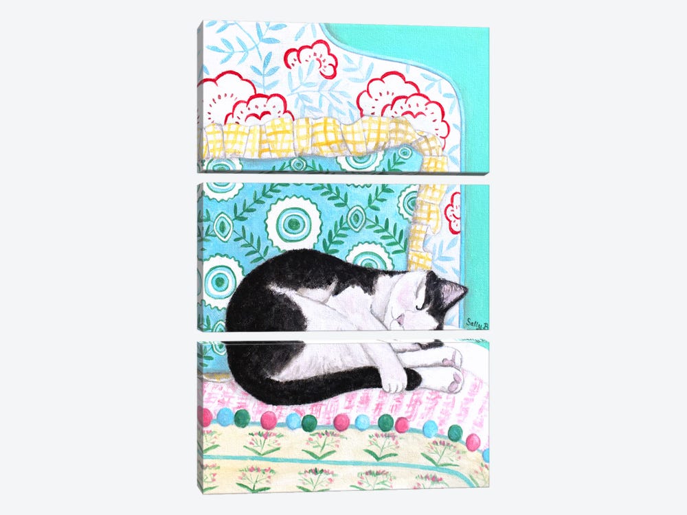 Sleeping Black White Cat by Sally B 3-piece Art Print