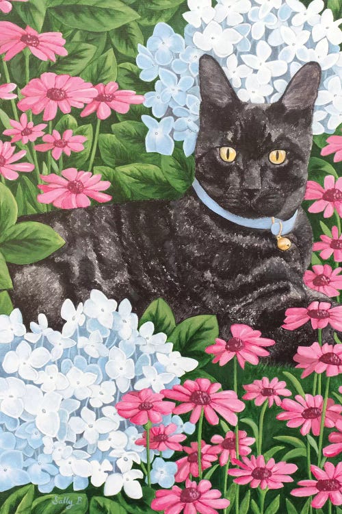 Black Cat With Hydrangea And Daisy