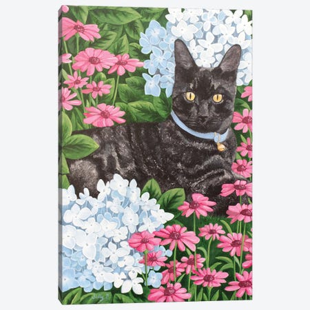 Black Cat With Hydrangea And Daisy Canvas Print #SLY56} by Sally B Canvas Artwork