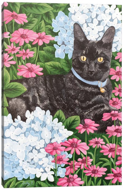 Black Cat With Hydrangea And Daisy Canvas Art Print - Sally B