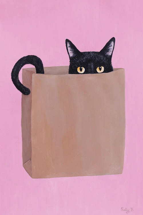 Black Cat In Paper Bag