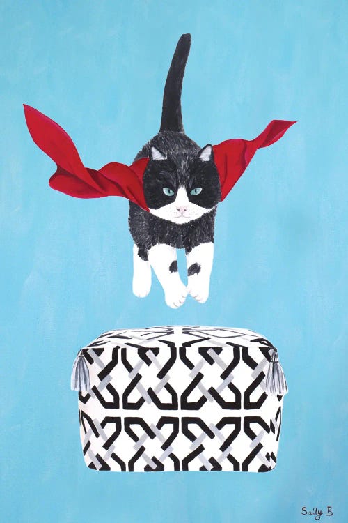 Flying Cat Over Pouf