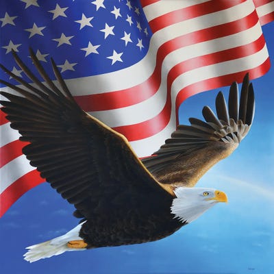 American Eagle And Flag by John Salozzo framed wall art