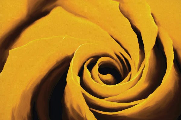 Floral Close-Ups: Dirty Yellow Rose by John Salozzo