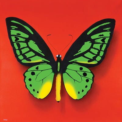 Green Butterfly by John Salozzo canvas print