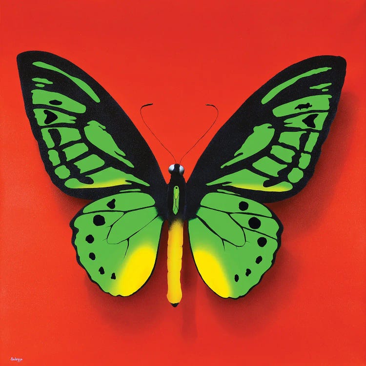 Green Butterfly