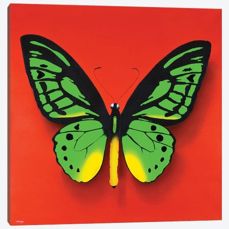 Green Butterfly Canvas Print #SLZ19} by John Salozzo Canvas Artwork
